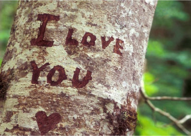 أحلى صور آي لاف يو I Love You مكتوبة على شجرة -عالم الصور